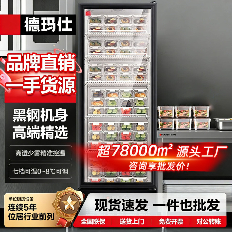 Demax Commercial Large Vegetable Refrigeration and Preservation Cabinet Vertical Display Cabinet Wine Beer Freezer Refrigerator Freezer