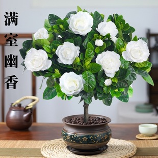 �d�ӻ������Ϙ�����Gֲ�k���҃ȿ͏d�辰���B���ļ��_����Ø���