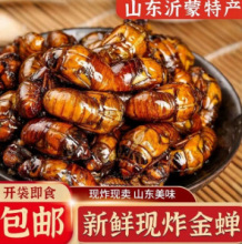 山东特产炸金蝉新鲜蝉蛹即食五香知了猴香辣知了现炸下酒菜高蛋白