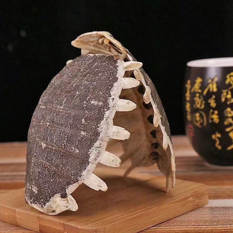 Bie Jia (Trionyx sinensis) Dried Turtle Shell Pieces — Traditional Chinese Herb, 500g in use