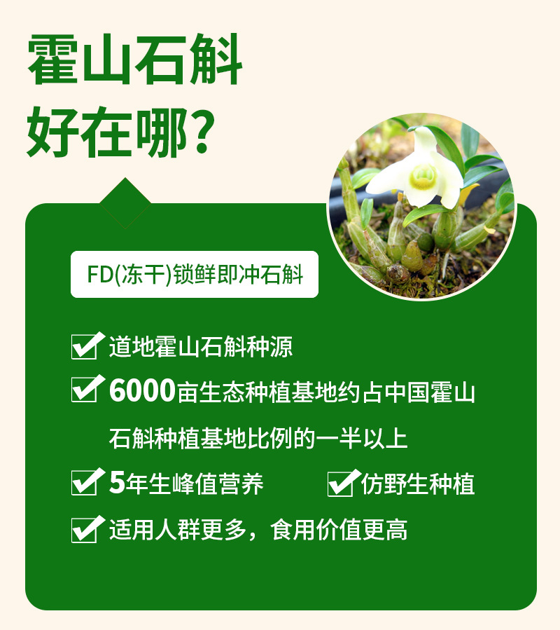 FD Freeze-Dried Shi Hu (Dendrobium) Mini-Jar Tea Gift Box — 5g × 10 Jars, Huoshan Dendrobium quality and texture