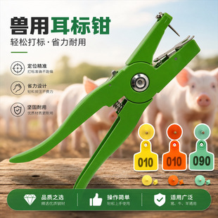 �i������Q�i������ţ�ö�̖�Q�����Q�F�ô�������Q�ӽ��ٶ����Q