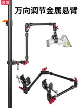 IfD֧ܶ๦̶ܹACz^蘌ߴa