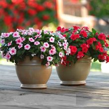 �L�����N���ͺ��͟Ứ���L���մ����~÷�ļ�÷�N��ͥԺ�ױ��軨��