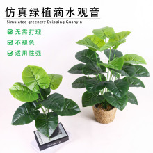 WL͏dGֲˮ^^z~٘Ծ^[~b