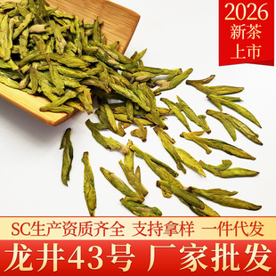 ����43̖2026�²�������ǰ�������~���l�^���紺���~��ɽ�G�����l