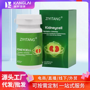 Kidneycell ���A�z�Ұט徫���ѹ�Ӣȥʯ�ݏͷ�OEM���Q����ͬ��