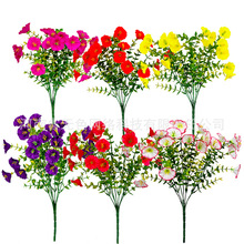 ���R�d�羳���滨��ţ���ȼ������Ȼ��Ҿӑ������Gֲ