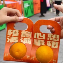 �����³ɳ����O��ˮ�����b���������ӆ��p�����b����Y��ţƤ����