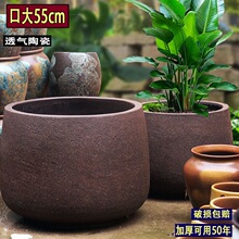 ���������B�մɻ���N��N����50�������ϴ���͸�������������ë
