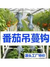 ģʽ�������t�����h���S���N���ѵ����ߏ����pM�h��