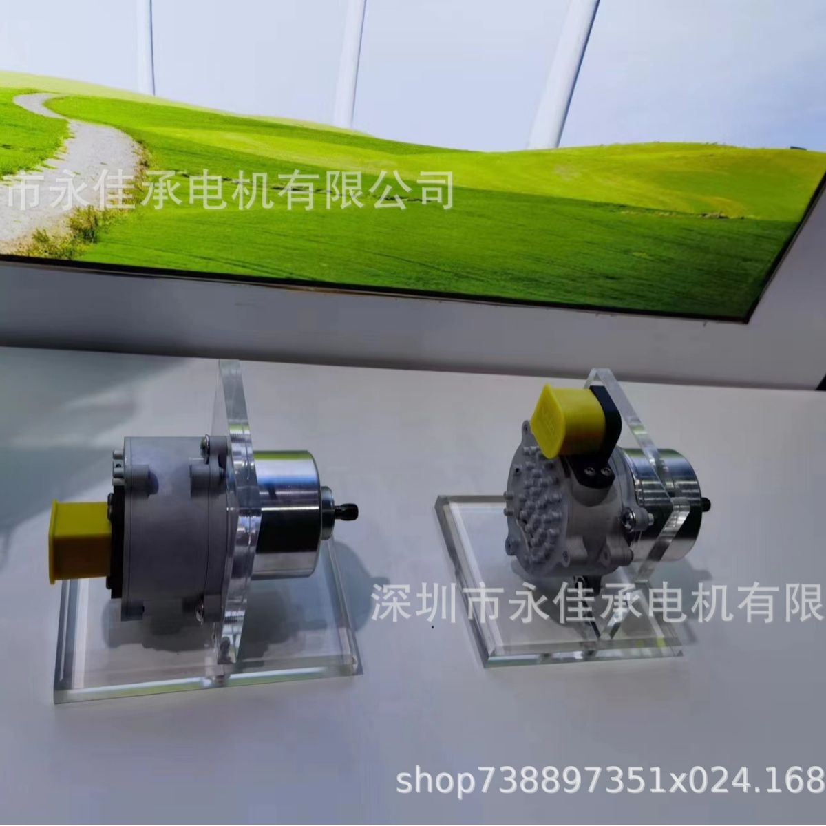 1999-1030705EP 德昌电机 汽车泵马达 高性能 高可靠性