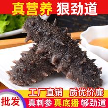 【端午送礼】大连即食海参辽刺参礼盒装2斤装送长辈走亲访友必备