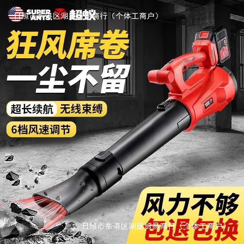 充电暴风电动吹风机大功率鼓风机220v 吹雪机清吹灰除尘器