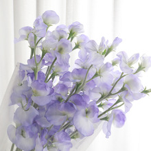 ��ꐔzӰ���߻����ձ����㶹�ٻ� �͏d��ה[�O�㶹��