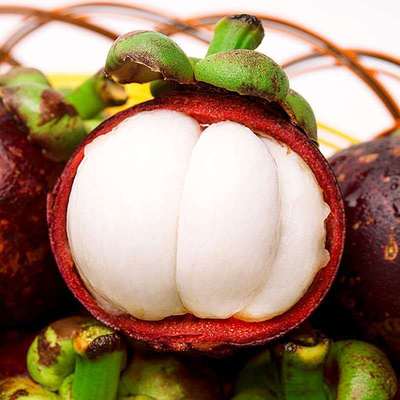 Mangosteen fresh Shunfeng fruit Net weight 5/3/ Jin Seasonal Big Fruit 5A6A pregnant woman Manufactor Cross border Amazon