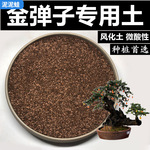 金弹子土风化土颗粒土红沙土酸性土盆景土风化石赤玉土种桩专用土