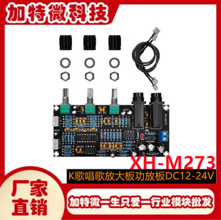 XH-M273 karaoke board reverberation board microphone amplifier board karaoke singing amplifier board power amplifier board DC12-24V