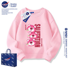 NASAݮŮͯl2024¿дͯŮͯɐۈAI·