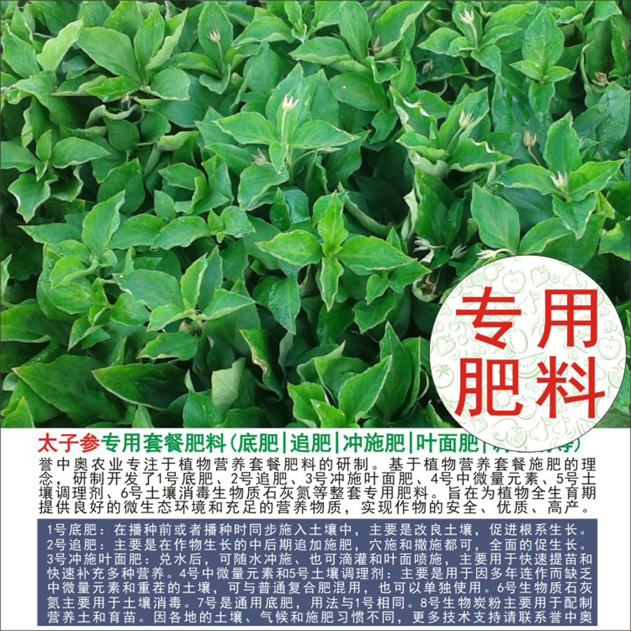 50�����а�̫�Ӳ�ר���л��ʸ��Ϸʵ׷�׷��Ҷ��ʳ�ʩ��ˮ�ܷ�