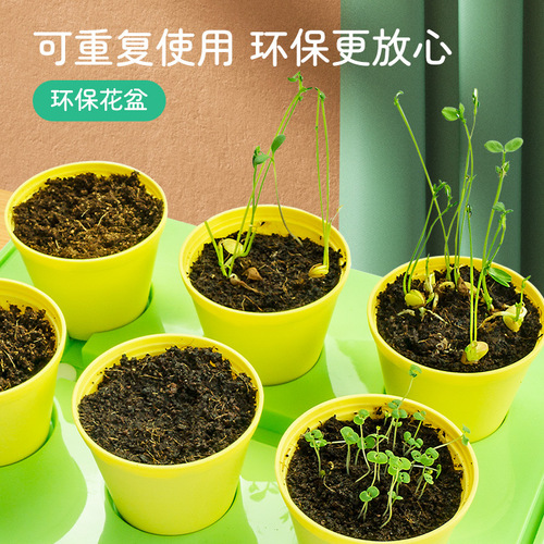 Learn from Youma, plant sunrooms, plant growth farms, grow vegetables and flowers, ecological plastic children's toys, scientific experiments