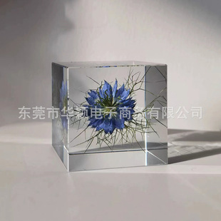 Natural plant eternal flower specimen epoxy resin embedded black grass three-dimensional specimen decoration creative decorative gift