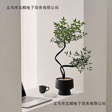 ����l�������k����ins�҃Ⱥ��Bֲ������Gֲ���ܿ͏d�辰��������