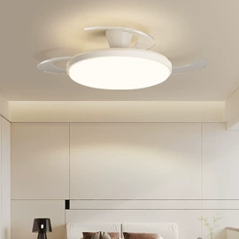 吸顶灯;吊灯;风扇灯