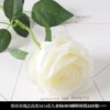 Silk cloth rose white