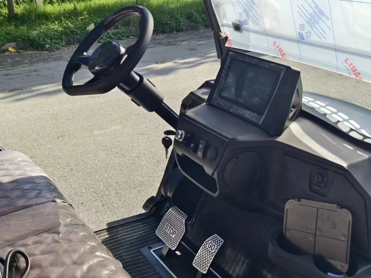 Electric golf cart, four-wheel, 2-seater, 4-seater, 6-seater, for export, hotel reception, shuttle, sightseeing, and transportation