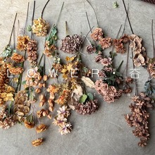 ɫϵ\Yýɫ滨cĵ򻨵̲ɫõY