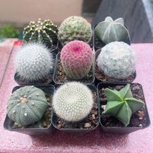 ����������M���ײͶ���ֲ���҃ȷ�ݗ��Gֲ�������Ժ��B���_����