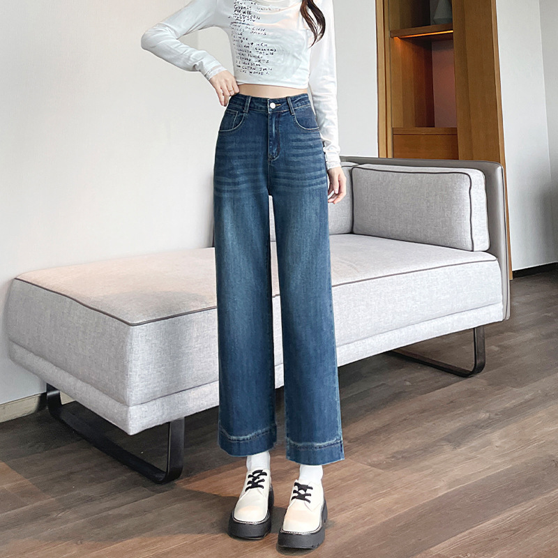 刺绣高腰阔腿牛仔裤女2025秋季新款宽松显瘦遮胯小个子九分直筒裤|undefined