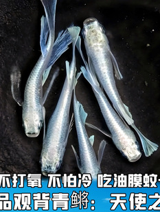 ��ʹ֮���^�����F�~�^�p�~��ˮ�~�ŷ������B�ײ�����С���\����ˮ