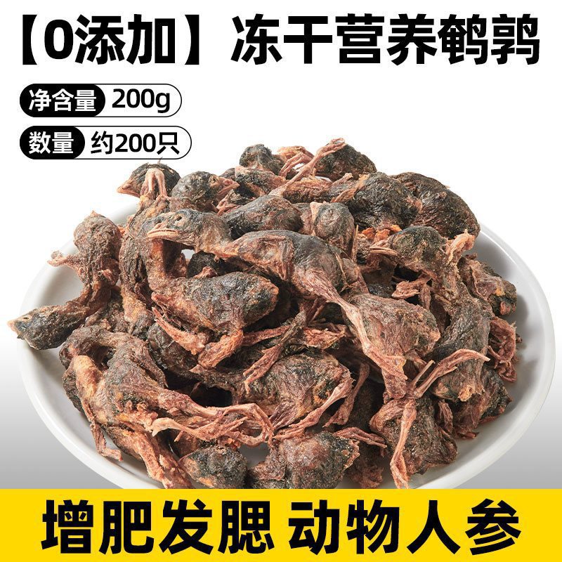 [핫셀 추천] 동결건조 메추리 약 200개 [동물인삼 200g]