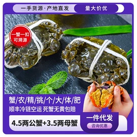 大闸蟹