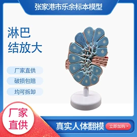 医药教学器材;生物教学器材