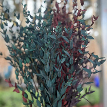 ����ͩ�X���~�ȼ������~����~�ɻ������Ҿ��b��S���l����