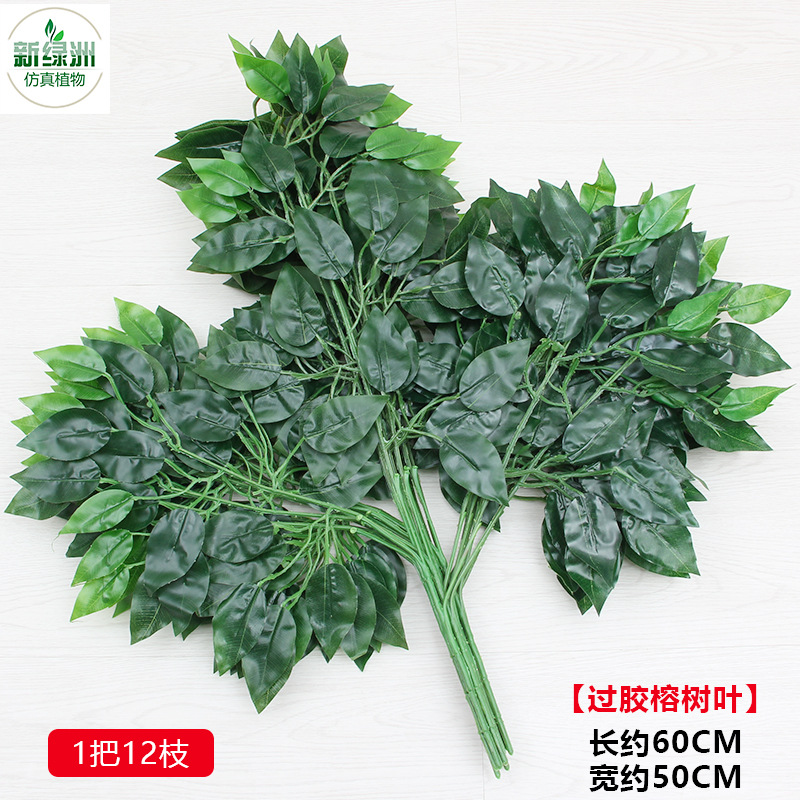 Banyan tree leaves (1 handful, 12 branches)