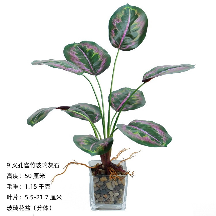 9叉带须孔雀竹玻璃灰石