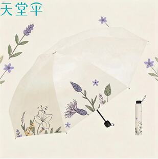 ���Â��¿�33981E��ľ֪�����z��������⾀���L������Â���Ů