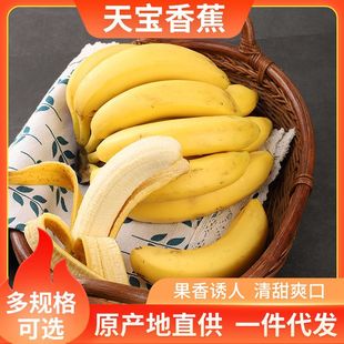 Fujian Tianqiang Banana Fragrant Banana Fresh Fruit теперь выбирает естественно приготовленные банановые не -кксиаоми банан