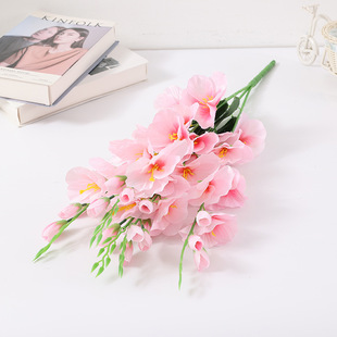 �bҾ�Դ�^��֦����ٻ����m�����l��c�zӰ�����羳������