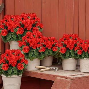 �羳���R�d���N���溣�Ļ��ٻ����컨��c�Ҿ��҃ȑ����b[��