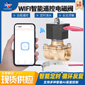 无线WIFI智能远程遥控电磁阀电控阀水阀铜阀220V24电子水管开关阀