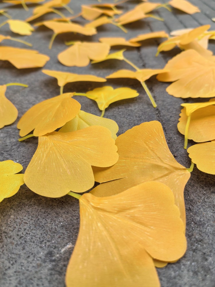 IMG_20251025_143152_副本