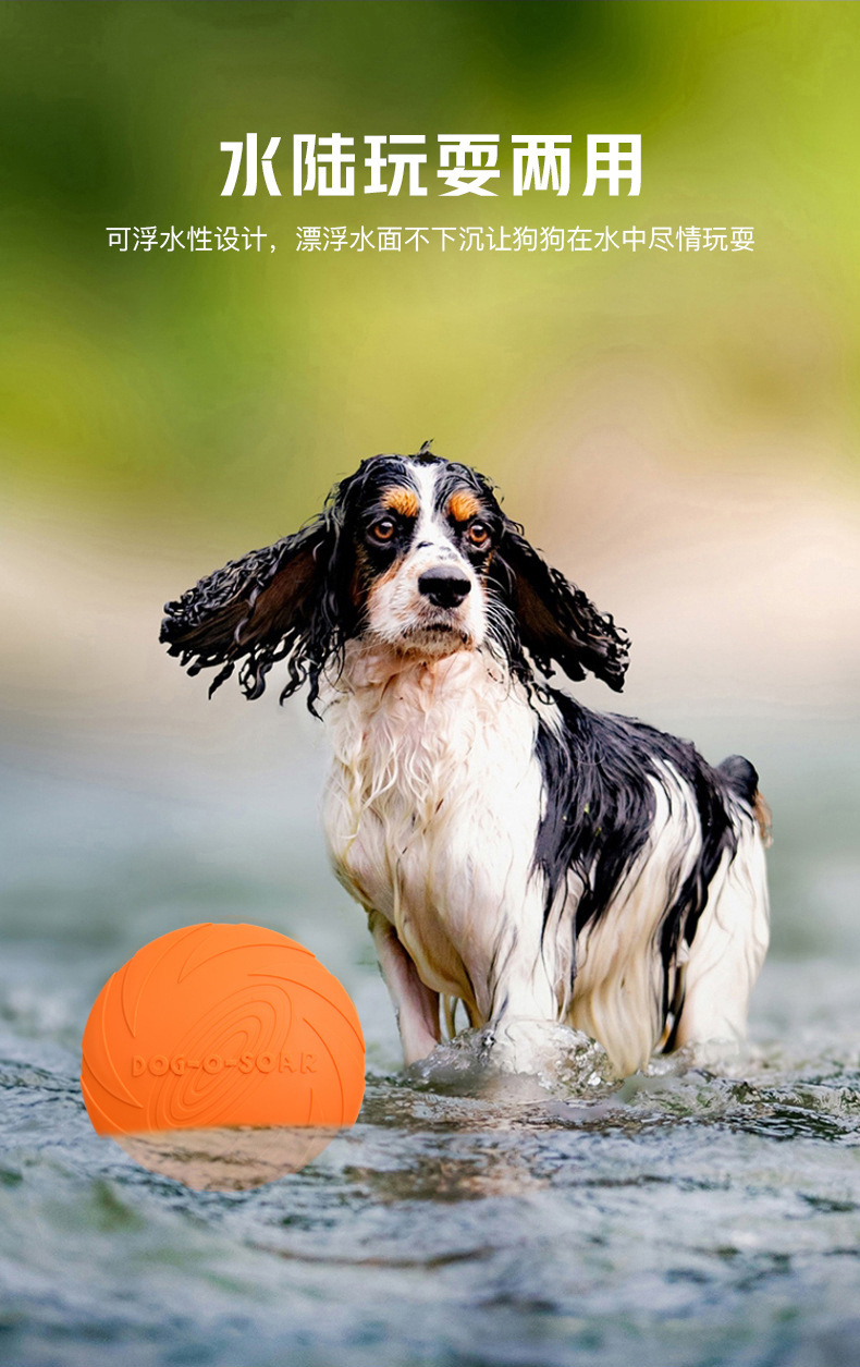 O1CN010cLepS1i5O0QYJIQL_!!2209