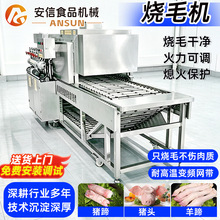 �i��ţ�����i�^ȥë�C���ß�ë�C�����ë�CʳƷ�ӹ���ë�C�O��