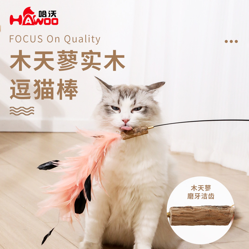 Mutian Polygonum Fun Cat Stick Alambre de acero alargo Varilla para gatos Juguete para gatos Pluma Campana para gatos Cabeza reemplazable Suministros para mascotas