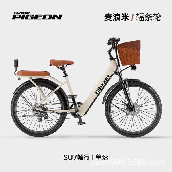 Electric bike for adults
